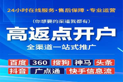 百度SEO推广策略：如何快速提升网站排名？——案例详解